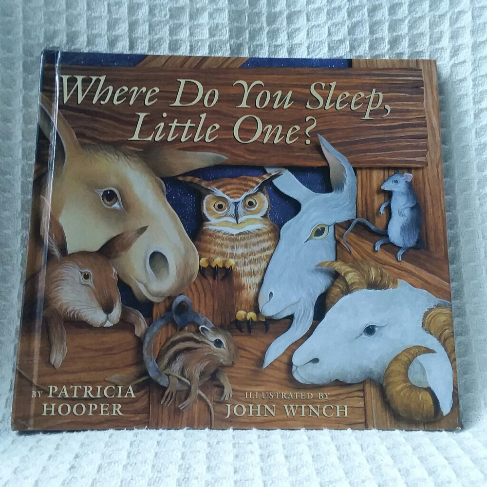 Where Do You Sleep, Little One Children's Book.